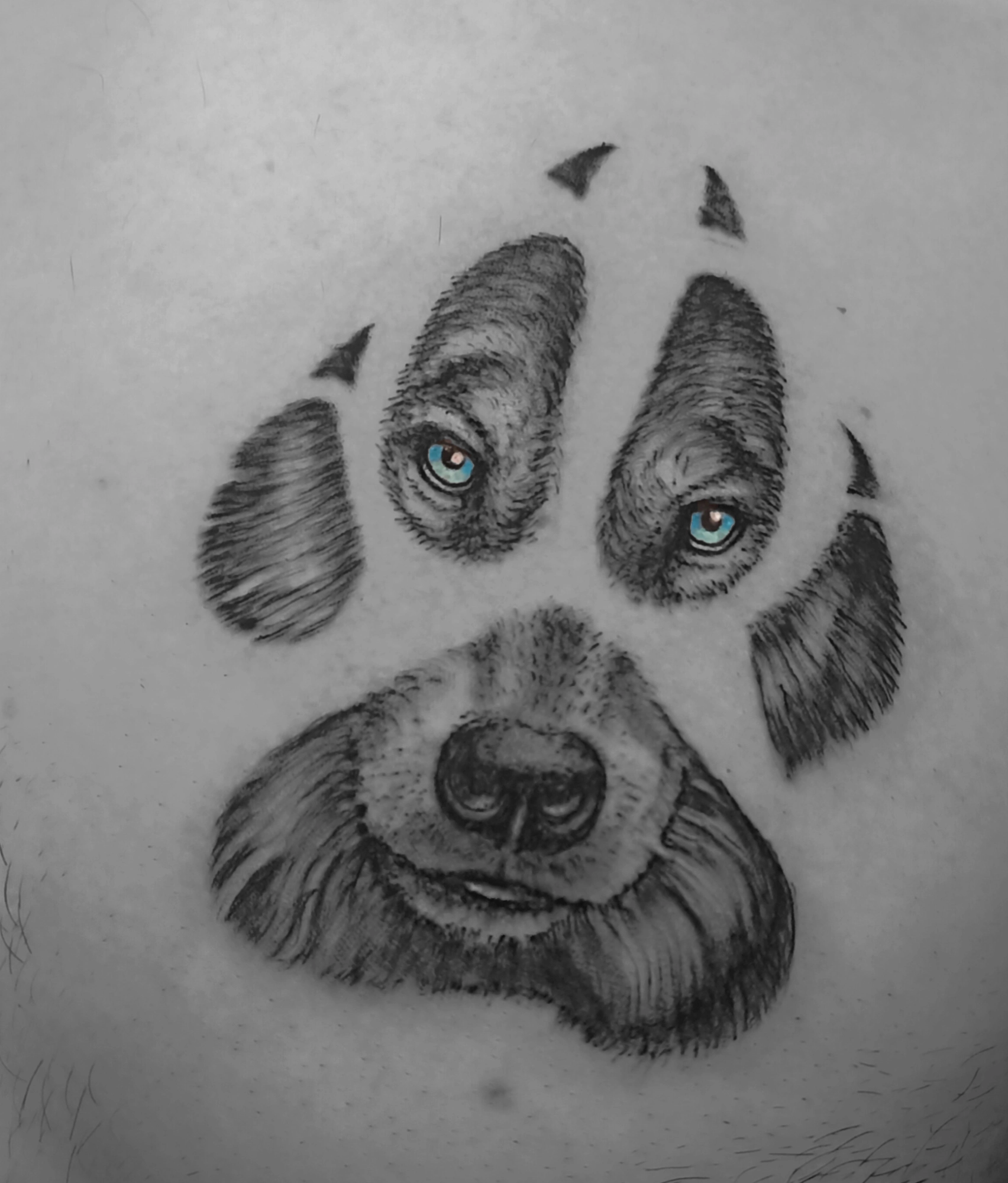 Tattoo Huella Lobo